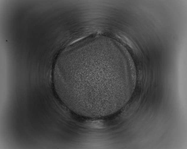 X0000093140553200710101119