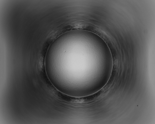 X0000093140554200710101119