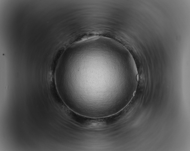 X0000093140555200710101119