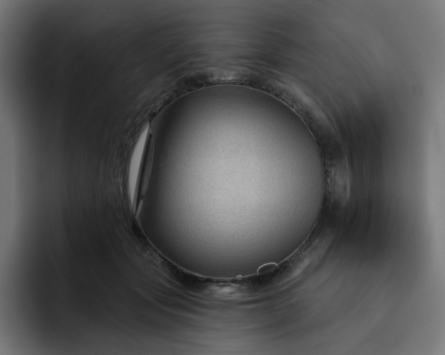 X0000093140557200710101119