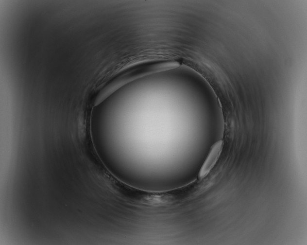 X0000093140558200710101119