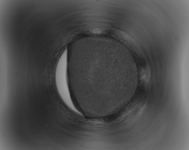 X0000093140559200710101119