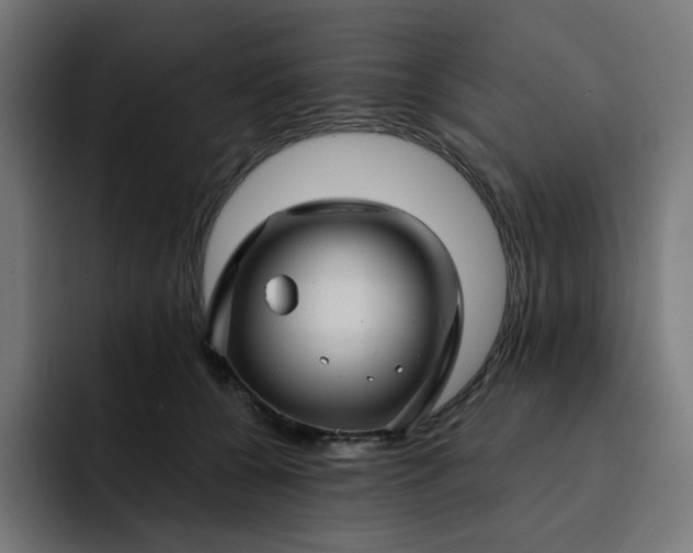 X0000093140560200710101119