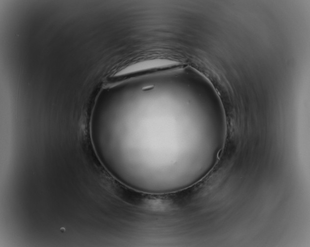 X0000093140561200710101119