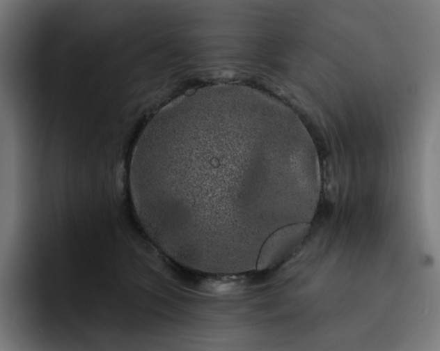 X0000093140563200710101119