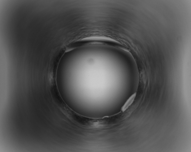 X0000093140564200710101119