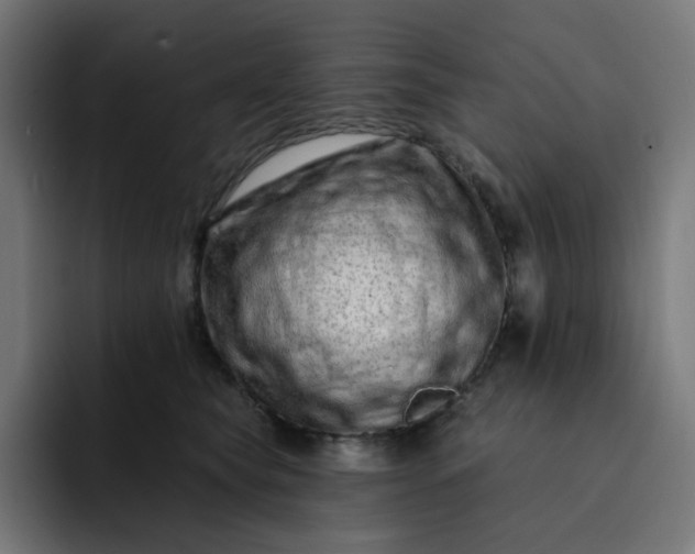 X0000093140565200710101119