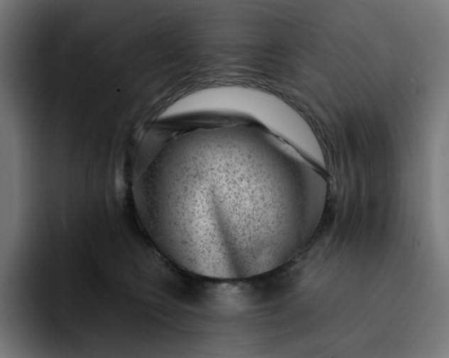 X0000093140566200710101119