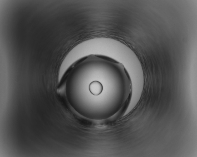 X0000093140570200710101119