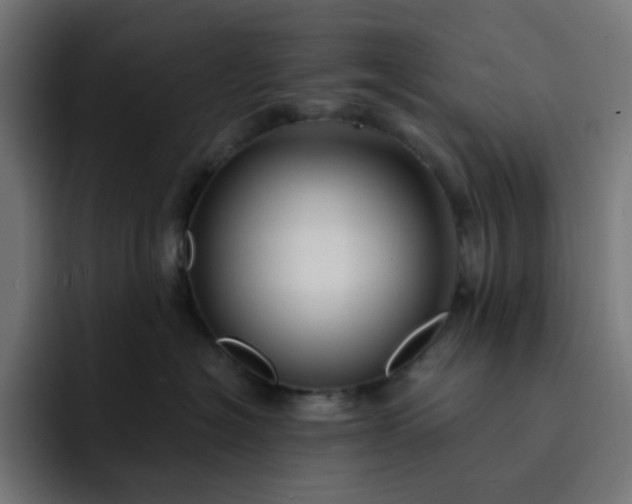 X0000093140574200710101119