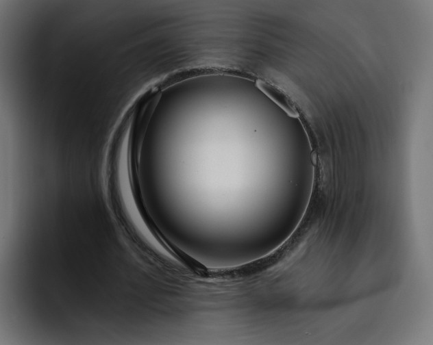 X0000093140580200710101119