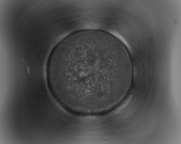 X0000093140581200710101119