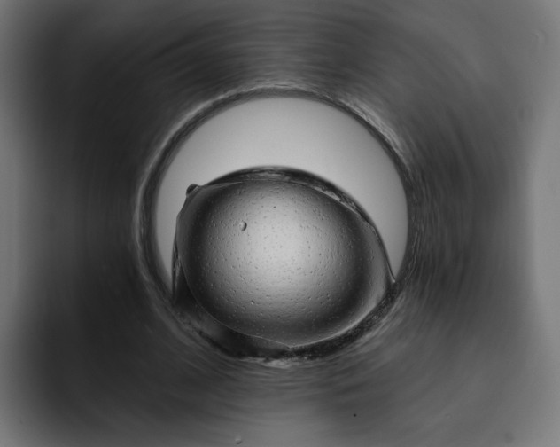 X0000093140584200710101119