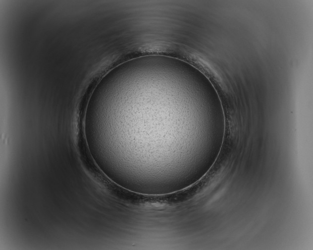 X0000093140586200710101119