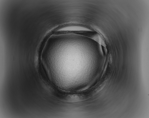 X0000093140588200710101119