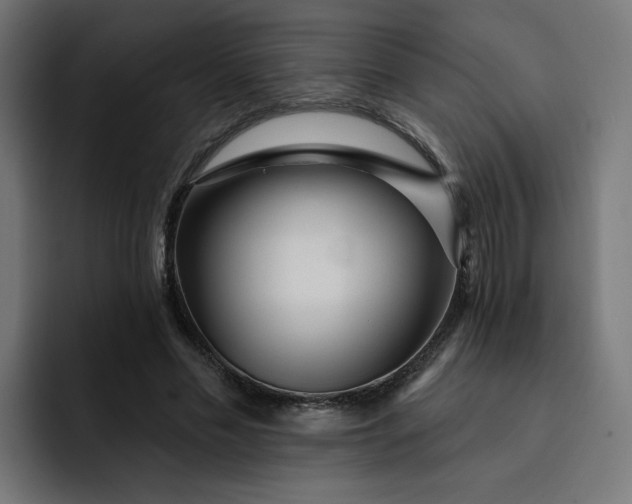 X0000093140589200710101119