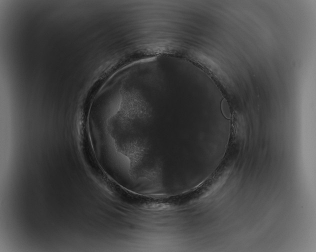 X0000093140590200710101119