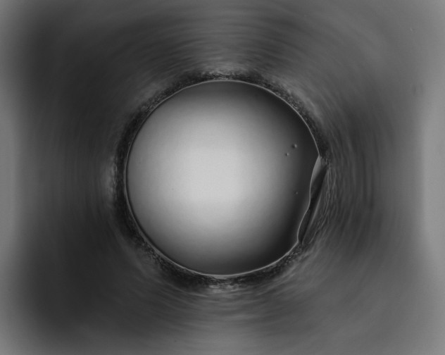 X0000093140591200710101119