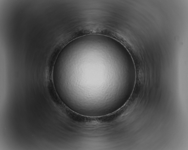 X0000093140594200710101119