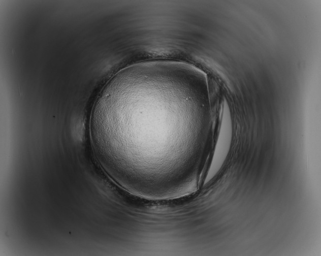 X0000093140596200710101119