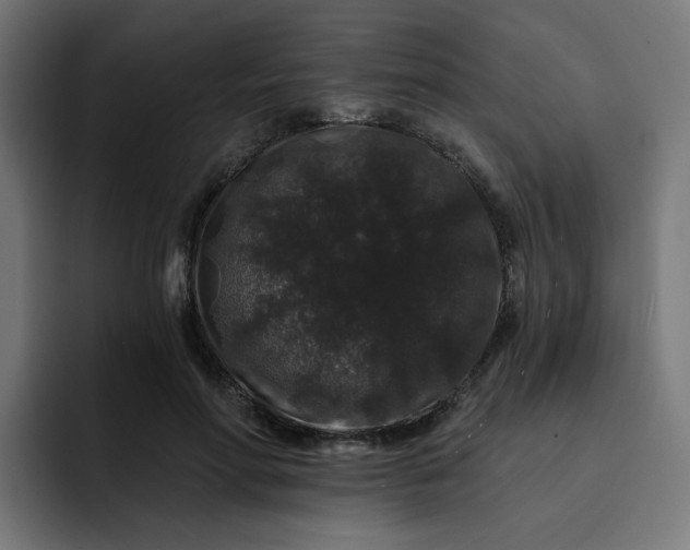 X0000093140598200710101119