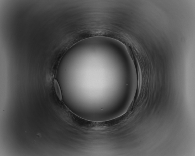 X0000093140601200710101119