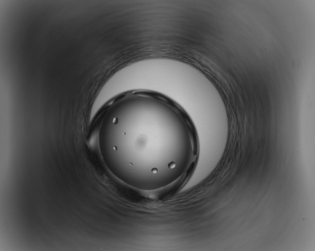 X0000093140604200710101118