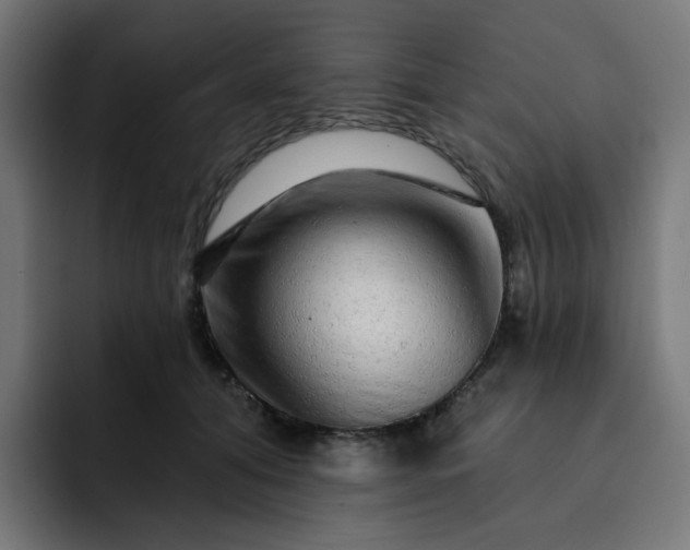 X0000093140608200710101118