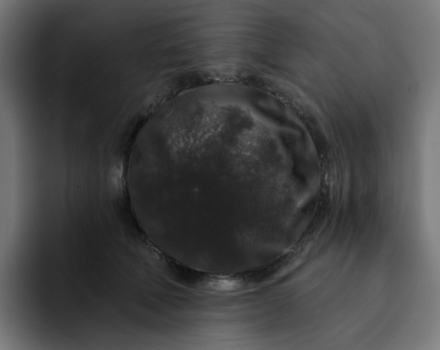 X0000093140610200710101118