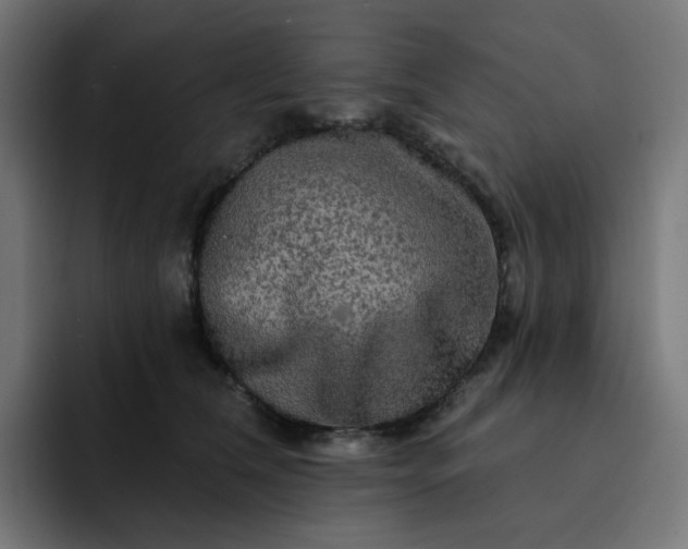 X0000093140612200710101118