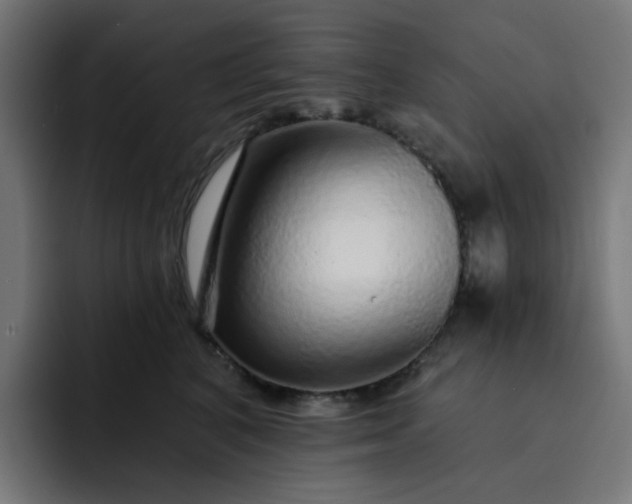 X0000093140616200710101118