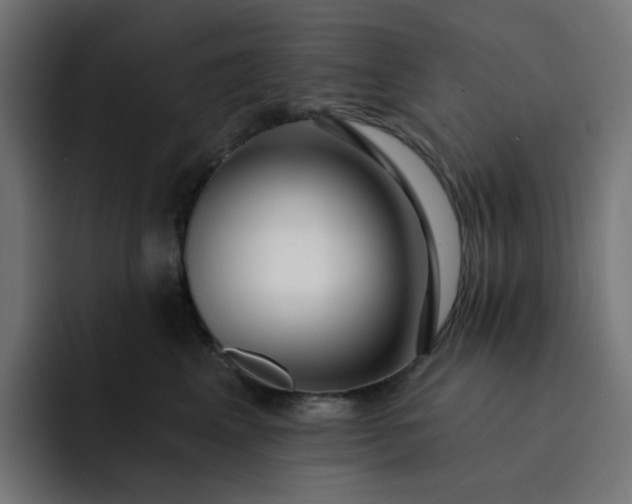 X0000093140617200710101118