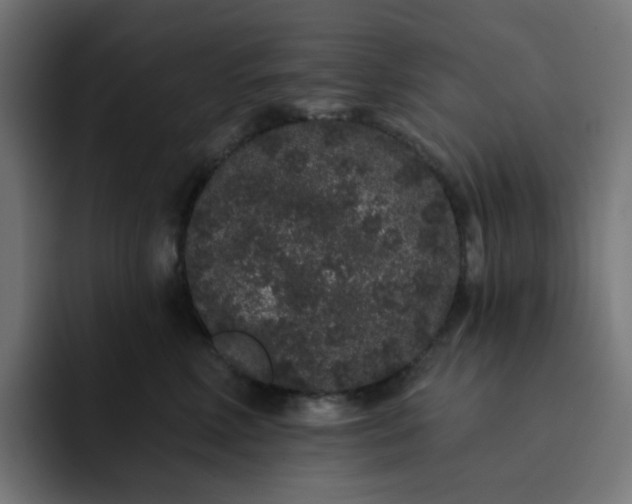 X0000093140618200710101118