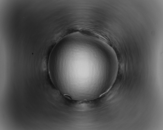 X0000093140620200710101118