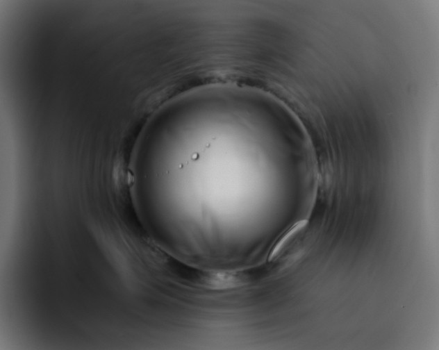 X0000093140623200710101118