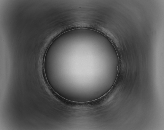 X0000093140625200710101118