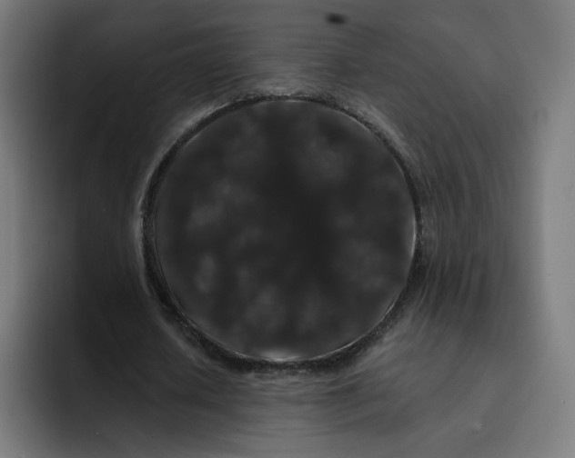 X0000093140626200710101118