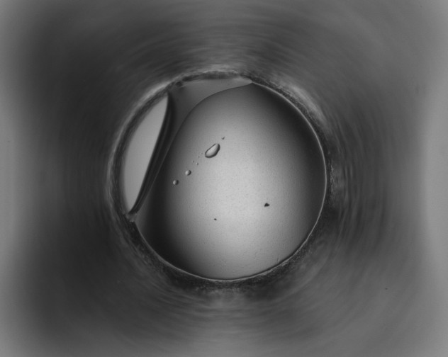 X0000093140628200710101118