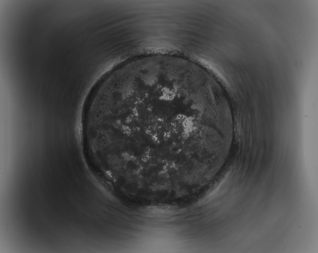 X0000093140630200710101118