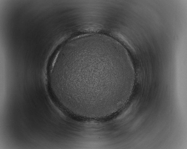 X0000093140634200710101118