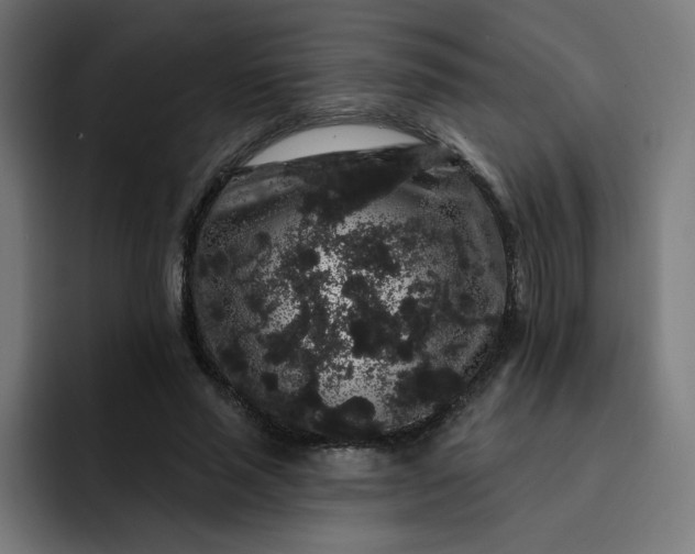 X0000093140637200710101118