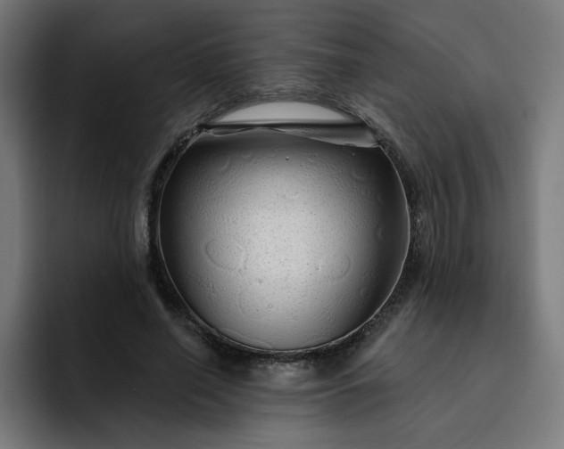 X0000093140638200710101118