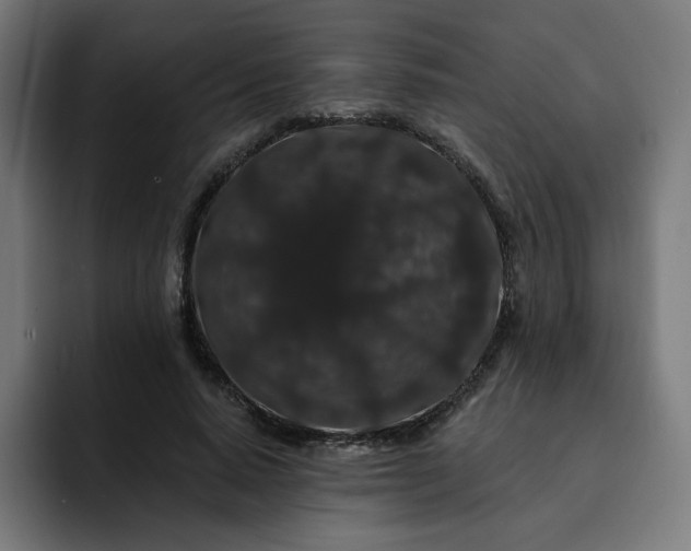 X0000093140640200710101118