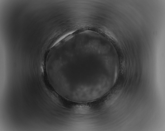 X0000093140644200710101118