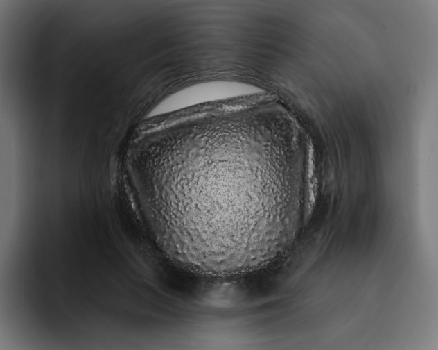 X0000093140647200710101118