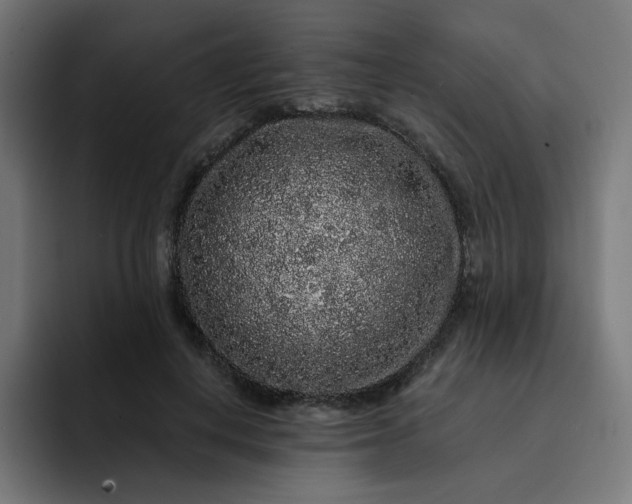 X0000093140648200710101118