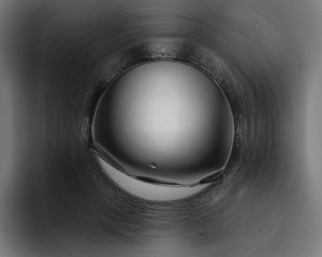 X0000093140649200710101118