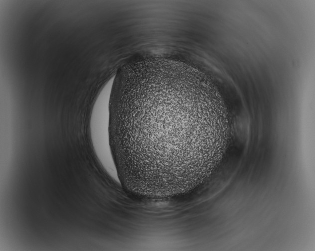 X0000093140651200710101118