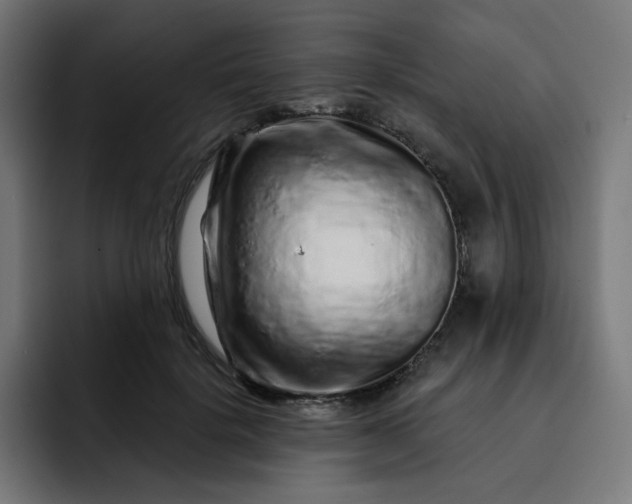 X0000093140652200710101118