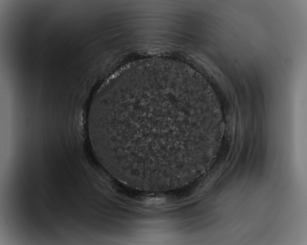 X0000093140653200710101118